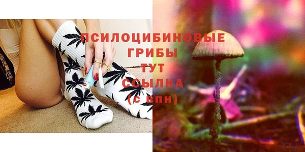 прущий лед Алагир