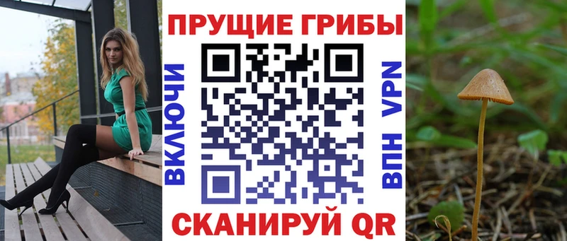 Псилоцибиновые грибы Magic Shrooms  KRAKEN ТОР  Электросталь 